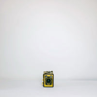 Vintage Model F box brownie  camera