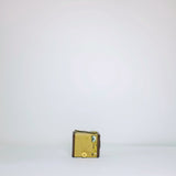 Vintage Model F box brownie  camera