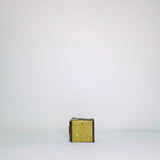 Vintage Model F box brownie  camera