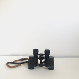 Binoculars + case