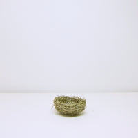Birds nest