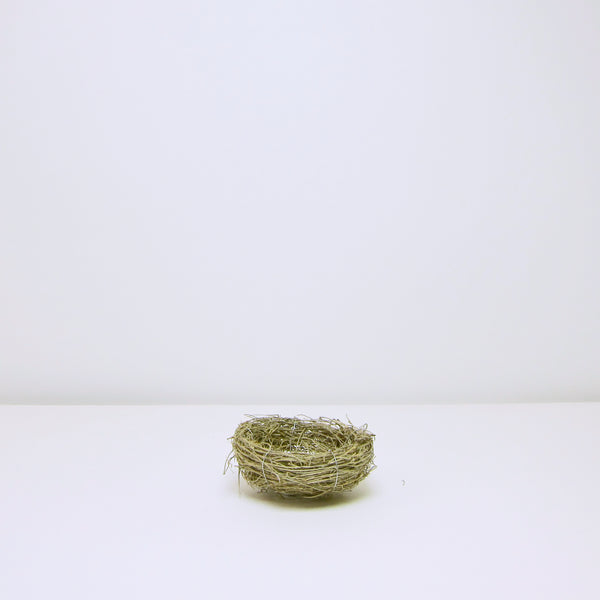 Birds nest