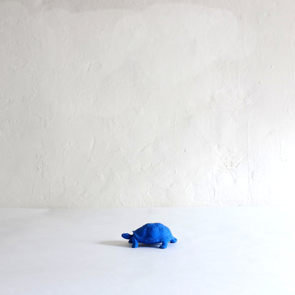 Blue eraser turtle