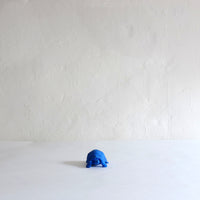 Blue eraser turtle