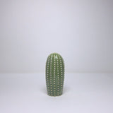 Ceramic cactus set