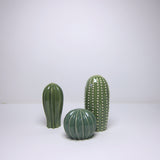Ceramic cactus set