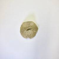 Ceramic urchin
