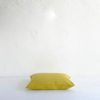 Citrus linen cushion