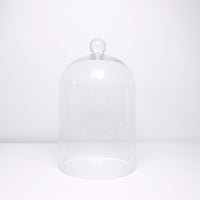 Clear glass cloche