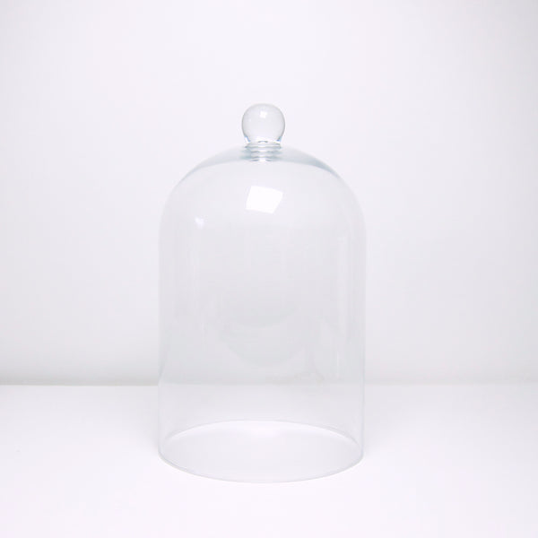 Clear glass cloche