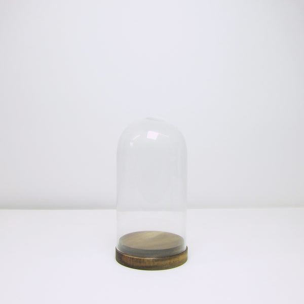 Wood based cloche