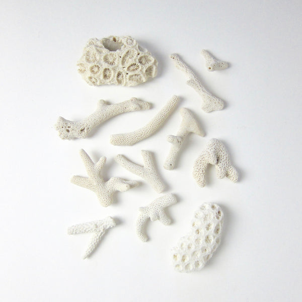 White coral piece