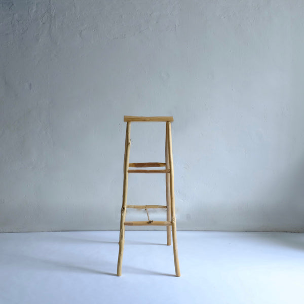 Rustic ladder