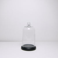 Black based glass cloche