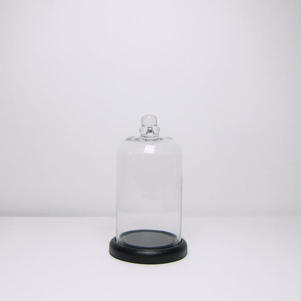 Black based glass cloche