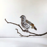 Handmade bird