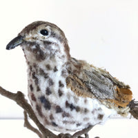 Handmade bird