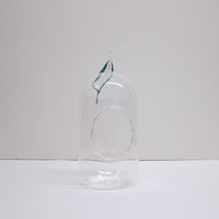 Hanging glass vase