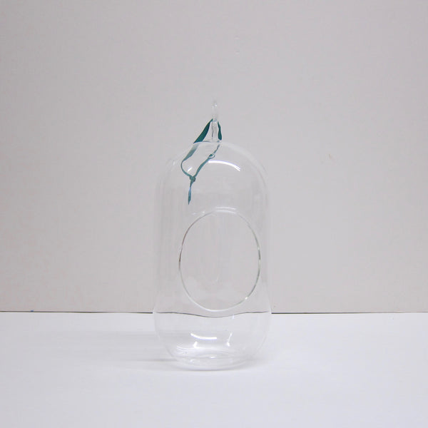 Hanging glass vase
