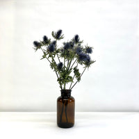 Dried thistles: 2 stems