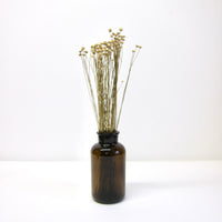 Small dried flowers