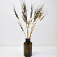 Dried Barley