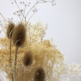 Mixed dried