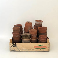 Terracotta pots