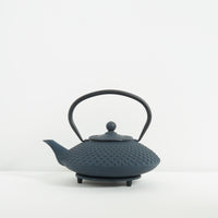 Japanese iron teapot and trivet