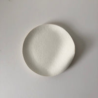 Japanese paper plates