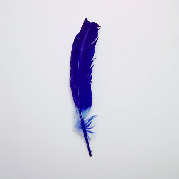 Blue feather