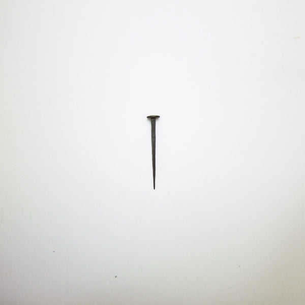 Long steel hand forged nails