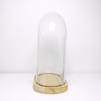 Oval glass cloche