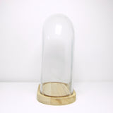 Oval glass cloche