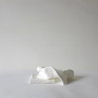 Eco multipurpose cloths