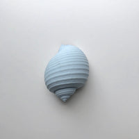 Painted melon shell