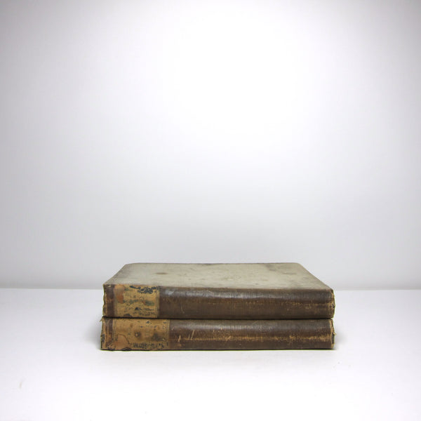 Large vintage books: pair