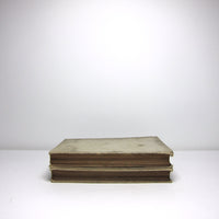 Large vintage books: pair