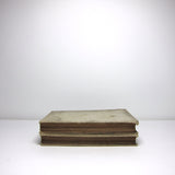 Large vintage books: pair