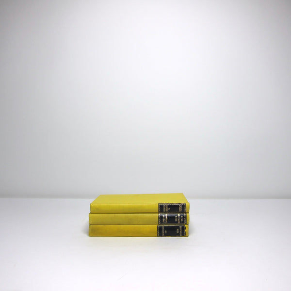 Set of 3 vintage yellow books