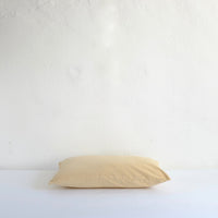 Pale yellow velvet cushion
