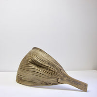 Palm husk