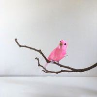 Pink bird