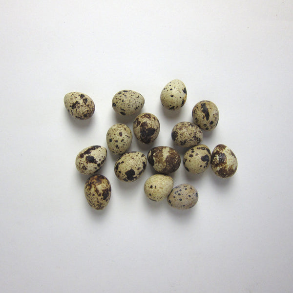 Quail eggs