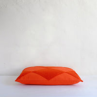 Red harlequin cushion