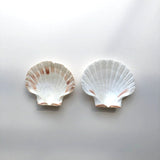 Scallop shells