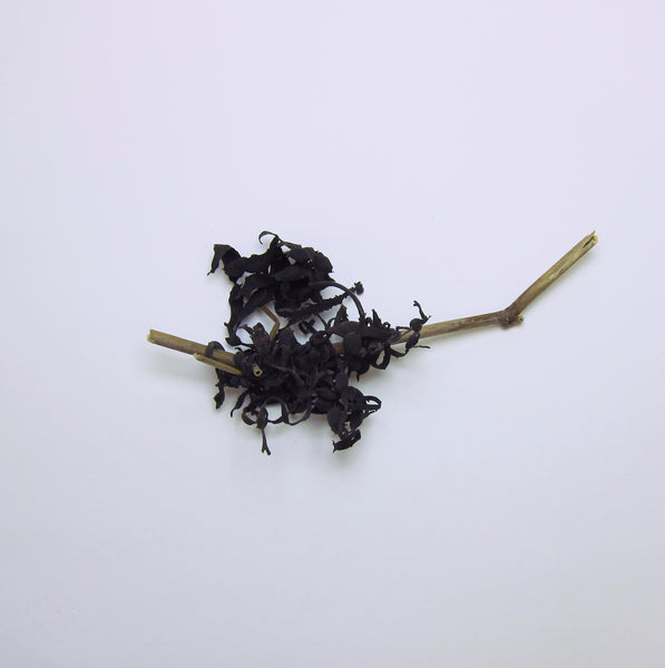 Dried seaweed on stick