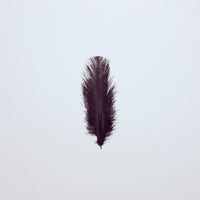 Small black feather