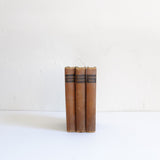 Set of 3 small brown vintage books