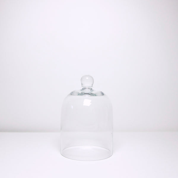 Small glass cloche